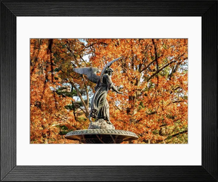 Framed Print : New York City, Central Park, Manhattan, Angel of the Waters fountain in Autumn, foliage Framed Print : New York City, Central Park, Manhattan, Angel of the Waters fountain in Autumn, foliage