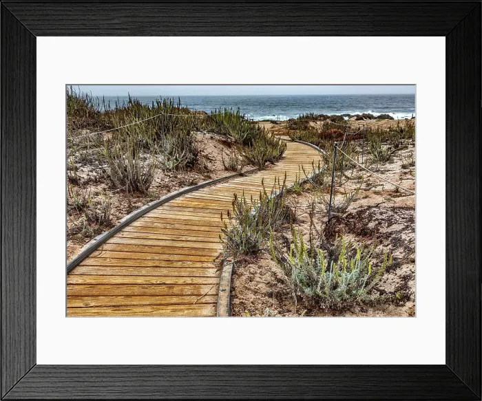 Framed Print : California, Big Sur, Andrew Molera State Park, Andrew Molera Beach
