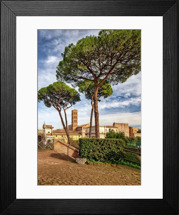 Framed Print : Italy, Rome, Colosseum Archeological Park Framed Print : Italy, Rome, Colosseum Archeological Park