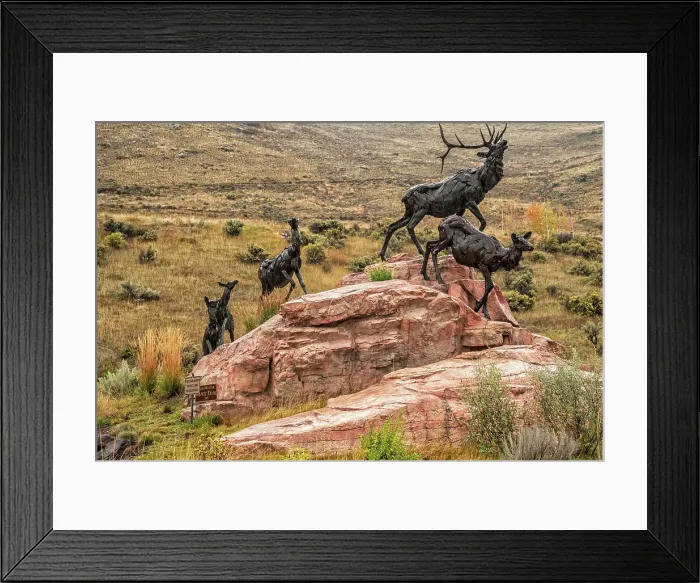 Framed Print : Wyoming, Jackson, National Museum of Wildlife Art across from National Elk Refuge, Bart Walter's Elk sculptures, Wapiti Trail Framed Print : Wyoming, Jackson, National Museum of Wildlife Art across from National Elk Refuge, Bart Walter's Elk sculptures, Wapiti Trail
