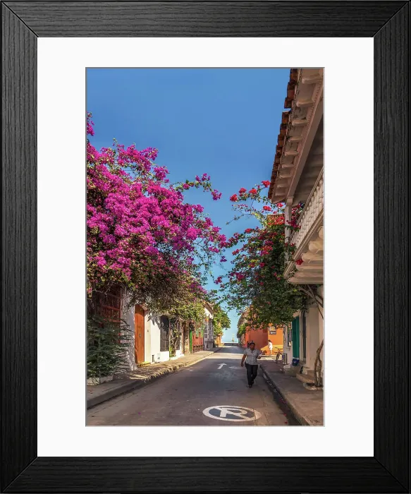 Framed Print : Colombia, Cartagena, old town typical street Framed Print : Colombia, Cartagena, old town typical street
