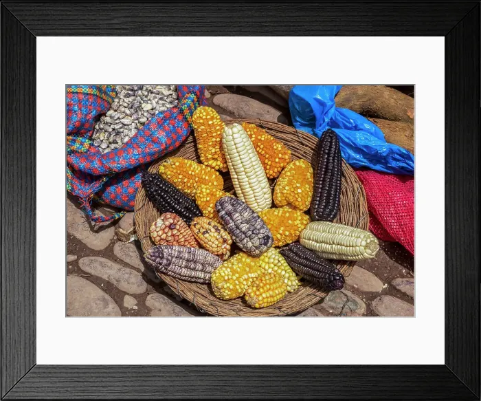 Framed Print : Peru, Sacred Valley, Pisac, variety of corn display Framed Print : Peru, Sacred Valley, Pisac, variety of corn display
