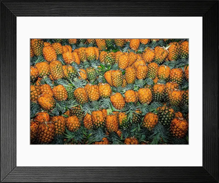 Framed Print : Colombia, Bunch of Pineapples Framed Print : Colombia, Bunch of Pineapples