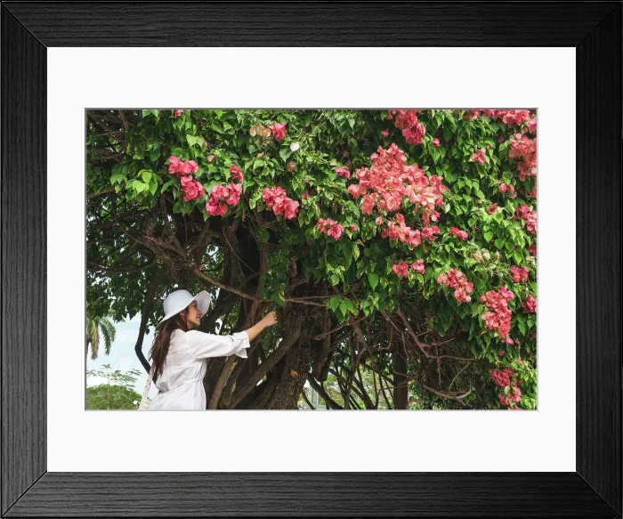 Framed Print : Florida, Fort Myers, Edison and Ford Winter Estates, woman by flowering tree