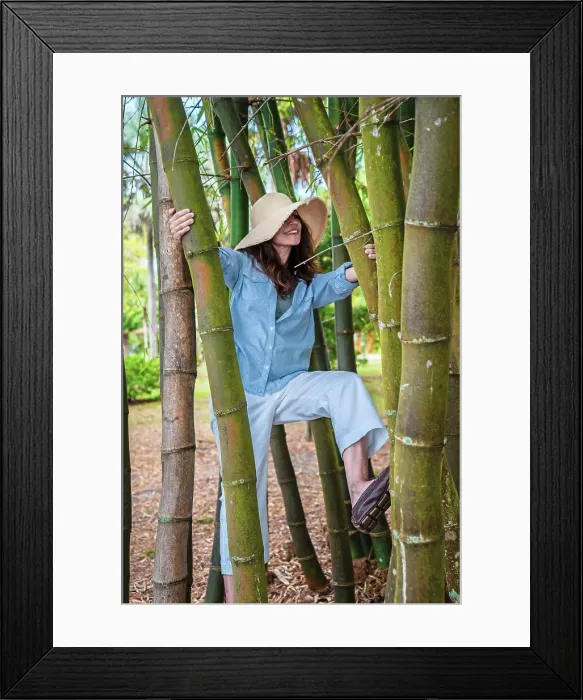 Framed Print : Florida, Fort Myers, Edison and Ford Winter Estates, woman climbing bamboo tree Framed Print : Florida, Fort Myers, Edison and Ford Winter Estates, woman climbing bamboo tree