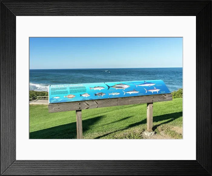 Framed Print : New York, Long Island, Montauk Point State Park Framed Print : New York, Long Island, Montauk Point State Park