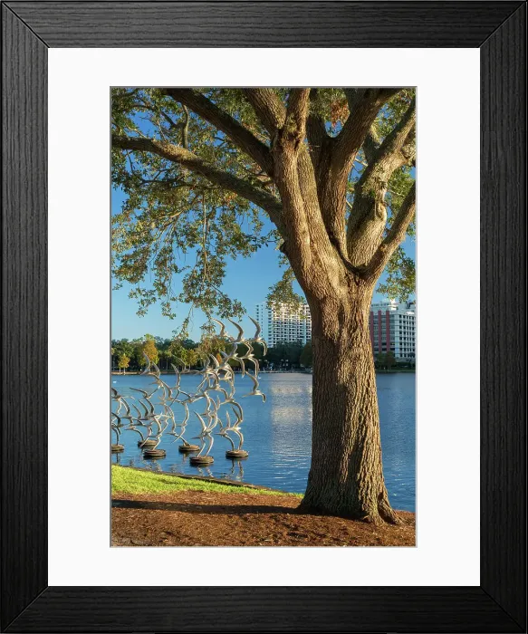 Framed Print : Florida, Orlando, Lake Eola, sculpture Take Flight by artist Douwe Blumberg Framed Print : Florida, Orlando, Lake Eola, sculpture Take Flight by artist Douwe Blumberg