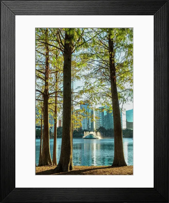 Framed Print : Florida, Orlando, Lake Eola and fountain seen through trees