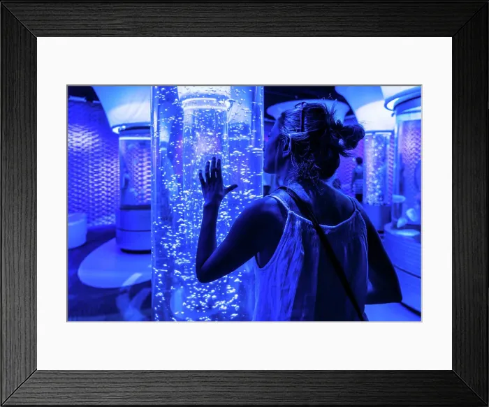 Framed Print : North Carolina, Outer Banks, Roanoke Island, Manteo, Aquarium Framed Print : North Carolina, Outer Banks, Roanoke Island, Manteo, Aquarium