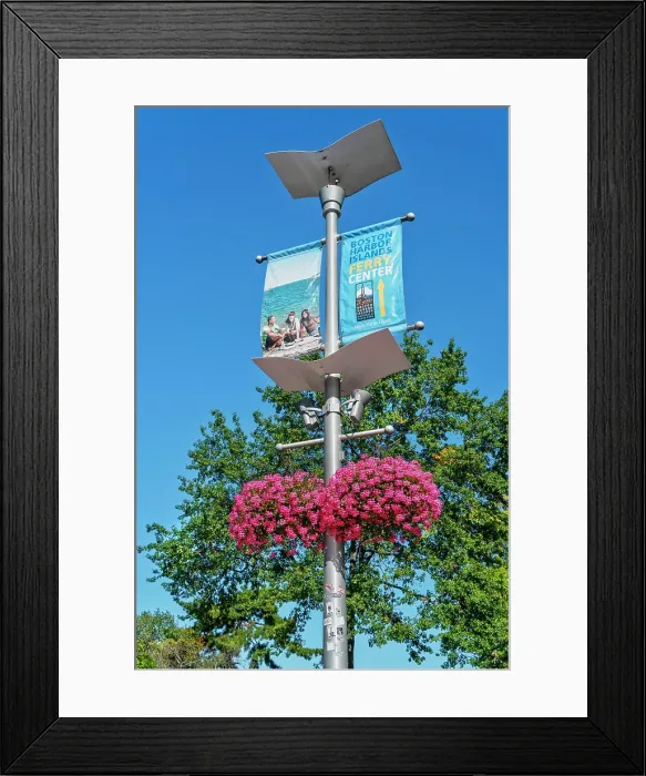 Framed Print : Massachusetts, Boston, street lamp with flowers hanging along the Harborwalk near the wharf Framed Print : Massachusetts, Boston, street lamp with flowers hanging along the Harborwalk near the wharf