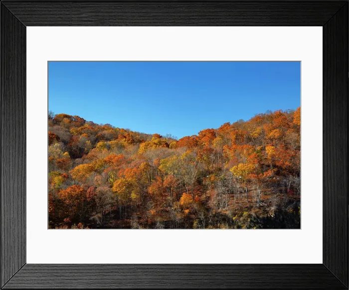 Framed Print : NY, Westchester, Croton on Hudson, fall foliage Framed Print : NY, Westchester, Croton on Hudson, fall foliage