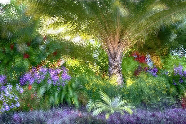 Abstract of colorful garden