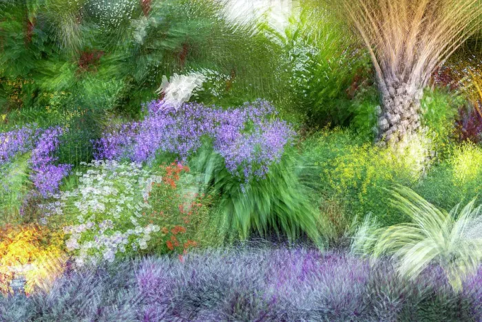 Framed Print : Abstract of colorful garden Framed Print : Abstract of colorful garden