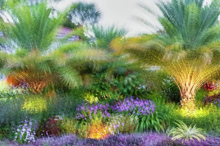 Framed Print : Abstract of colorful garden Framed Print : Abstract of colorful garden