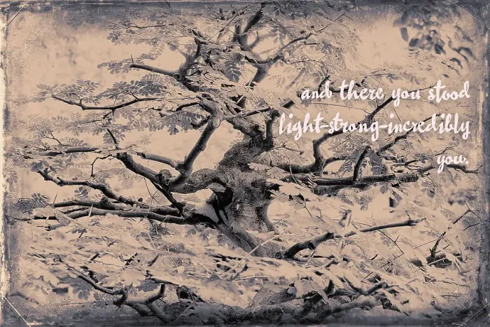 Framed Print : Abstract of tree branches with inspiring message