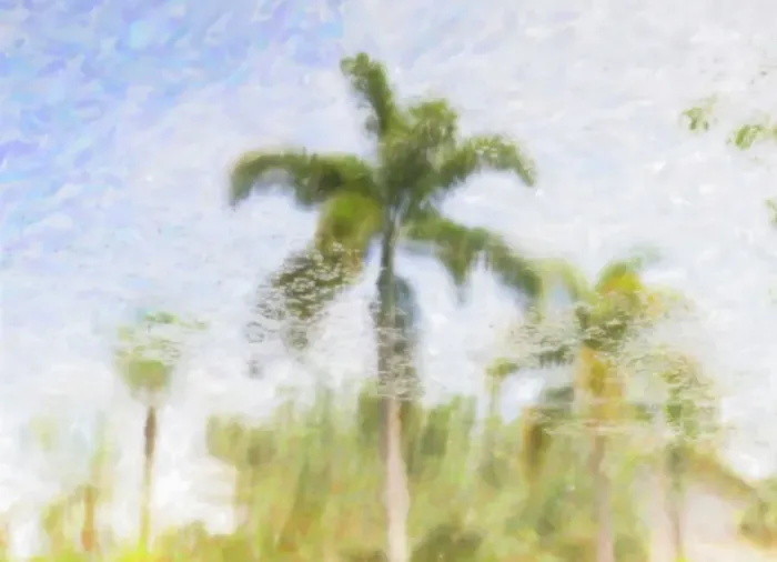 Framed Print : Abstract of tropical palm tree reflecting over water