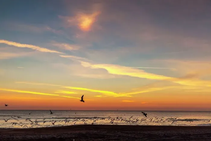 Framed Print : Amelia Island, Fernandina Beach, Beach at sunset