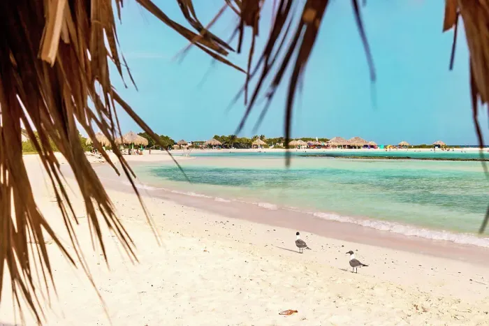 Framed Print : Aruba, Baby beach Scene from straw hut Framed Print : Aruba, Baby beach Scene from straw hut