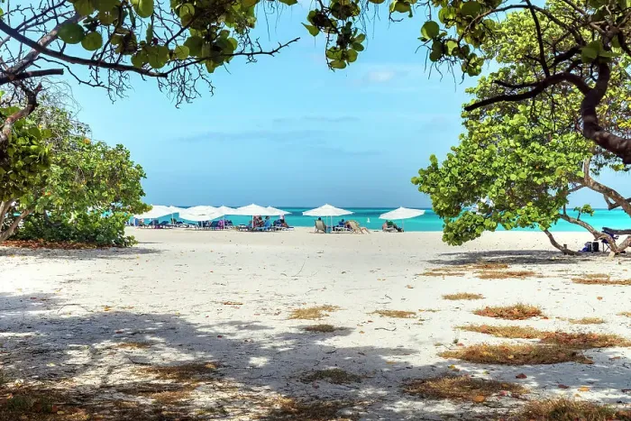 Framed Print : Aruba, Eagle beach scene