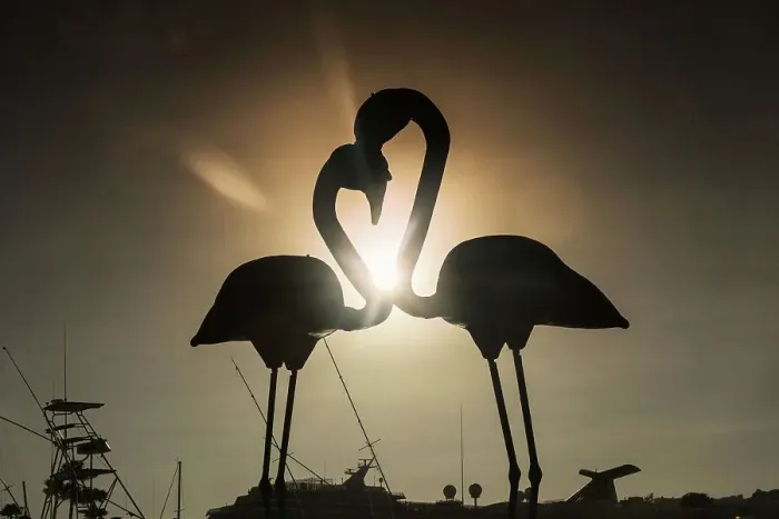 Framed Print : Aruba, Oranjestad, Flamingos Sculpture