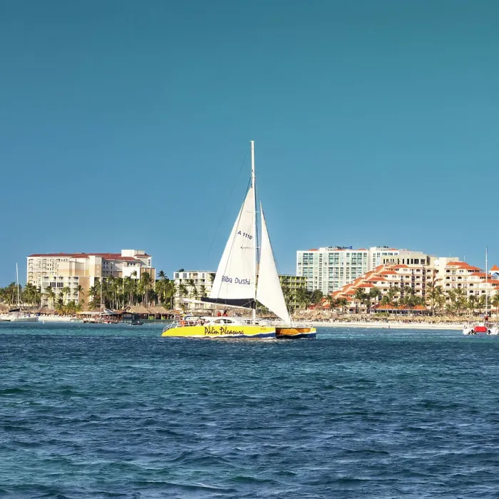 Framed Print : Aruba, Palm Beach and Catamaran Framed Print : Aruba, Palm Beach and Catamaran
