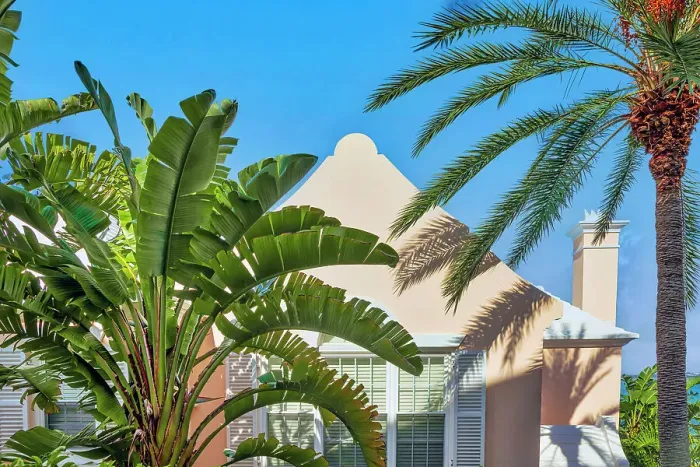 Framed Print : Bermuda, Rosewood Bermuda Hotel grounds and palm trees in front of building facade Framed Print : Bermuda, Rosewood Bermuda Hotel grounds and palm trees in front of building facade
