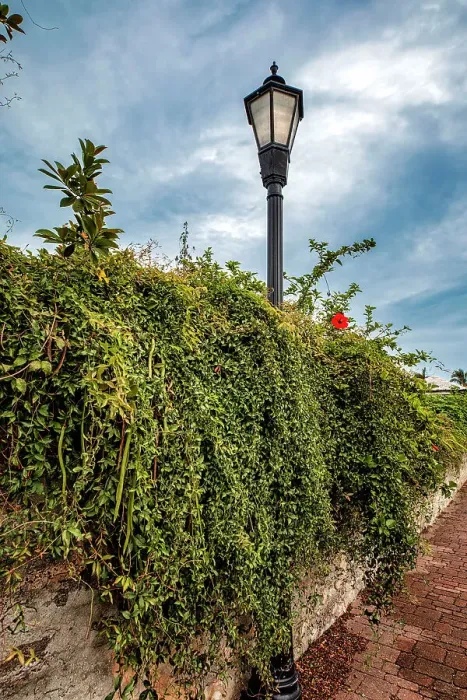 Framed Print : Bermuda, Saint George, Wall covered in vegetation and Street Lamp Framed Print : Bermuda, Saint George, Wall covered in vegetation and Street Lamp