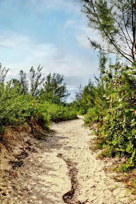 Framed Print : Bermuda, Secluded Beach path Framed Print : Bermuda, Secluded Beach path