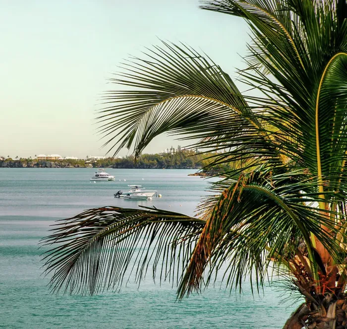 Framed Print : Bermuda, South Shore, boats and palm tree fronds in foreground
