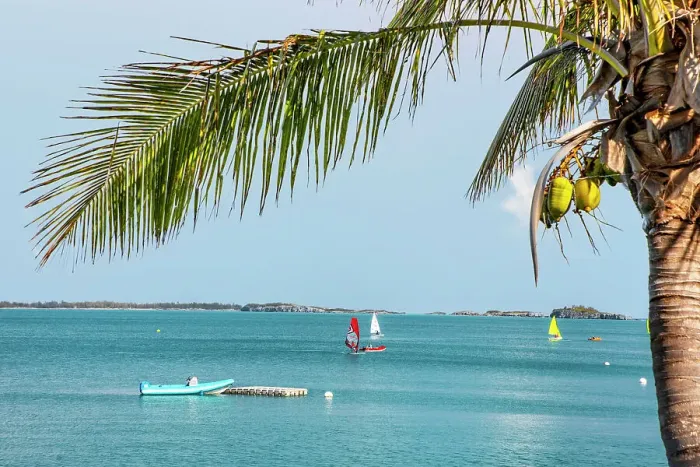 Framed Print : Bermuda, South Shore, view of aquamarine ocean and boats with palm tree in the foreground Framed Print : Bermuda, South Shore, view of aquamarine ocean and boats with palm tree in the foreground