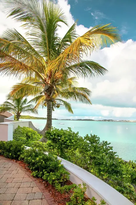 Framed Print : Bermuda, South Shore, view of boats and aquamarine ocean with palm tree
