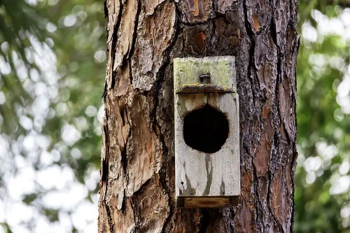 Framed Print : Empty birdhouse on tree