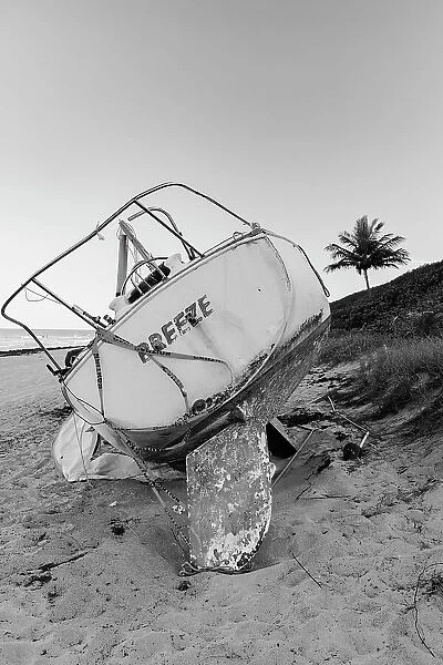 Boat wreck on beach with palm tree in background