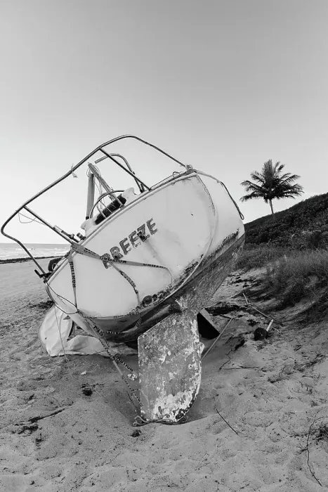 Framed Print : Boat wreck on beach with palm tree in background