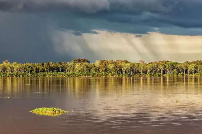 Framed Print : Brazil, Amazon river scene