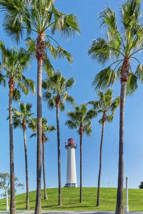 Framed Print : California, Los Angeles, Venice Beach Framed Print : California, Los Angeles, Venice Beach