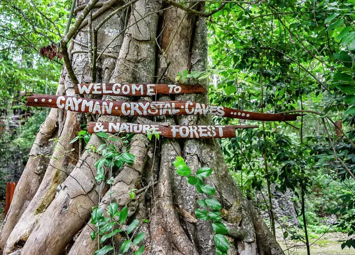 Framed Print : Cayman Islands, Grand Cayman, Cayman Crystal Caves & Nature Forest