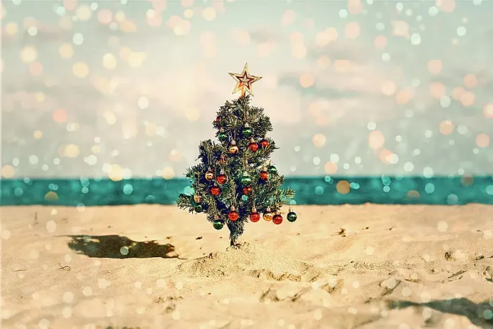Framed Print : Christmas tree on the beach