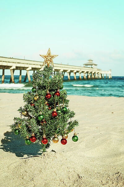 Christmas tree on the beach with pier in background