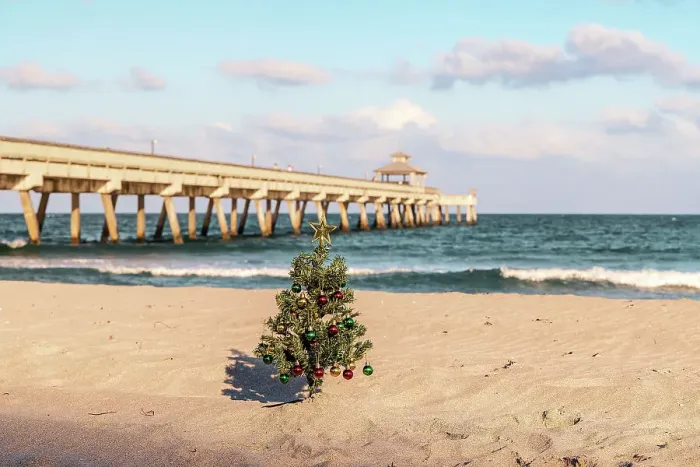 Framed Print : Christmas tree at beach scene with pier in background Framed Print : Christmas tree at beach scene with pier in background