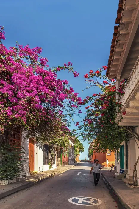 Framed Print : Colombia, Cartagena, old town typical street Framed Print : Colombia, Cartagena, old town typical street