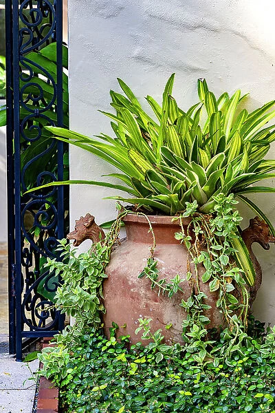 Decorative potted plant
