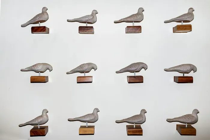Framed Print : Doves decorating wall