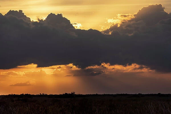Dramatic sunset over Everglades in Florida