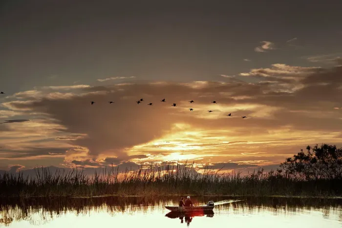 Framed Print : Father & son fishing at the Everglades
