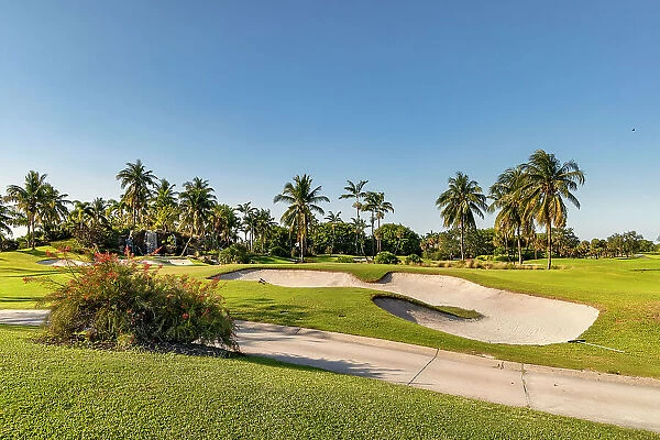 Florida, Boca Raton, golf course with palm trees