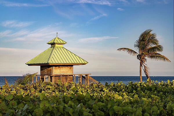 Florida, Boca Raton, lifeguard tower & palm tree on the beach