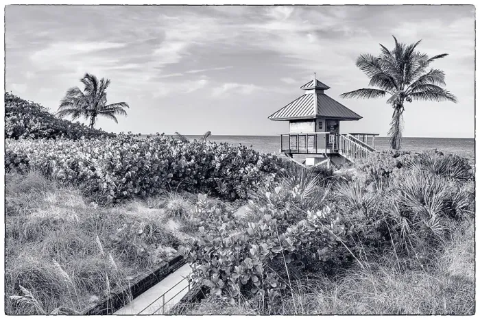 Framed Print : Florida, Boca Raton, lifeguard tower & palm tree on the beach Framed Print : Florida, Boca Raton, lifeguard tower & palm tree on the beach