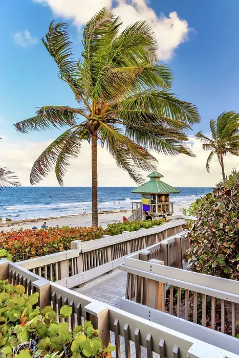 Framed Print : Florida, Boca Raton, Red Reef Park, walkway to the beach Framed Print : Florida, Boca Raton, Red Reef Park, walkway to the beach