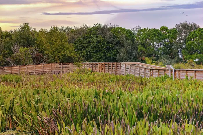 Framed Print : Florida, Boynton Beach, Green Cay Nature Center Framed Print : Florida, Boynton Beach, Green Cay Nature Center